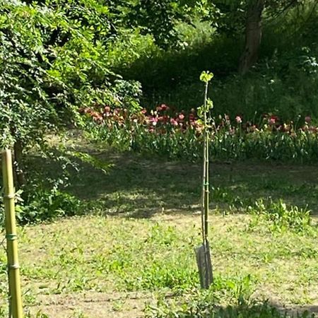 Eco House Roero Cottage Alba  Zewnętrze zdjęcie