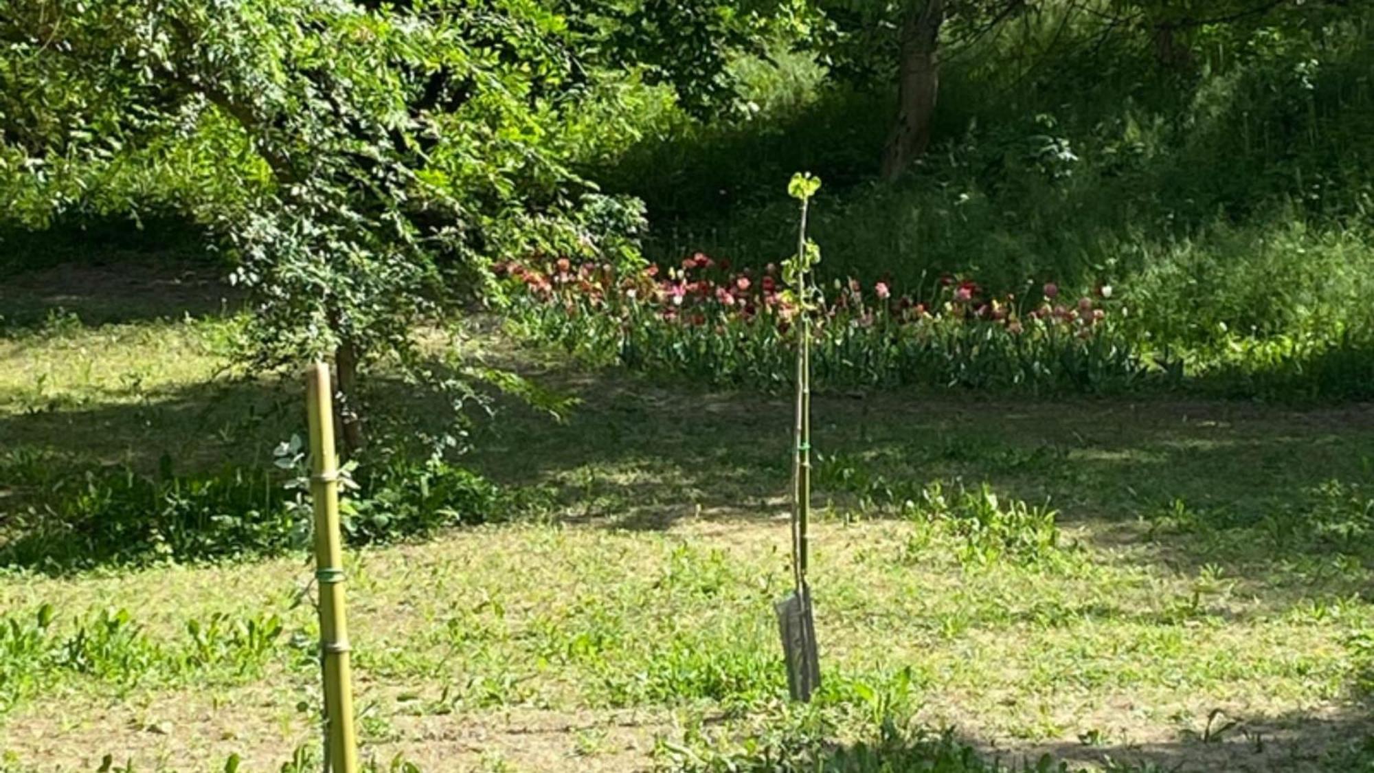 Eco House Roero Cottage Alba  Zewnętrze zdjęcie